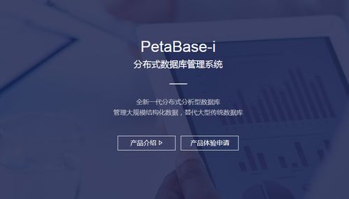 分布式数据库管理系统 构建现代数据架构的核心引擎